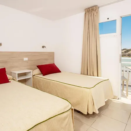Cocoteros Maspalomas (Gran Canaria)