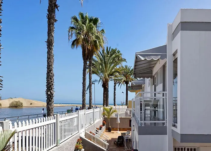 Cocoteros Maspalomas (Gran Canaria)